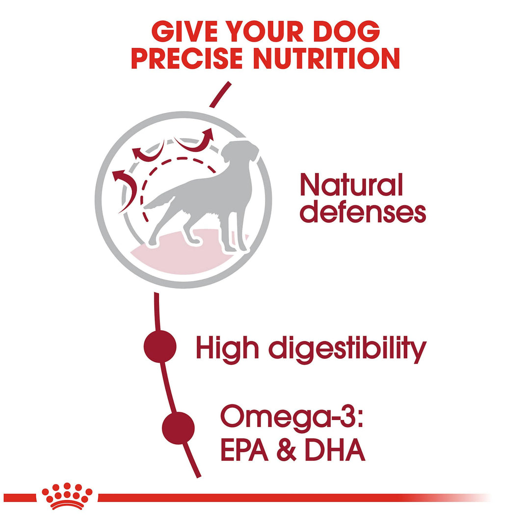Medium Breed Adult Dry Dog Food, 30 lb bag