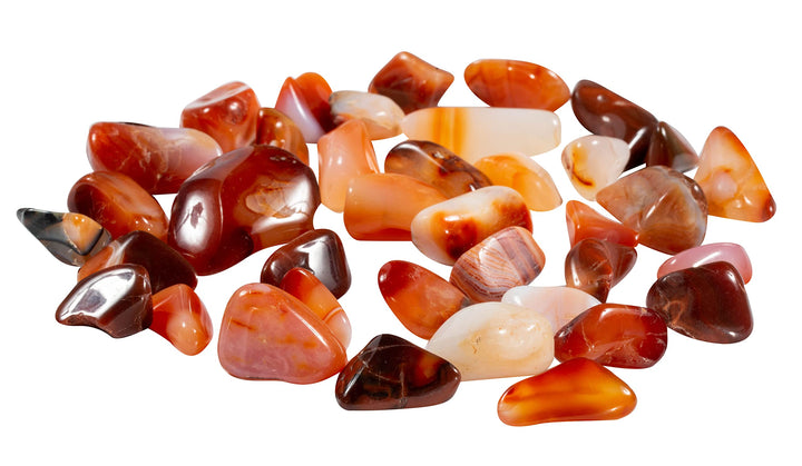 The Chrysalis Stone Tumbled Carnelian - Healing Stone, 