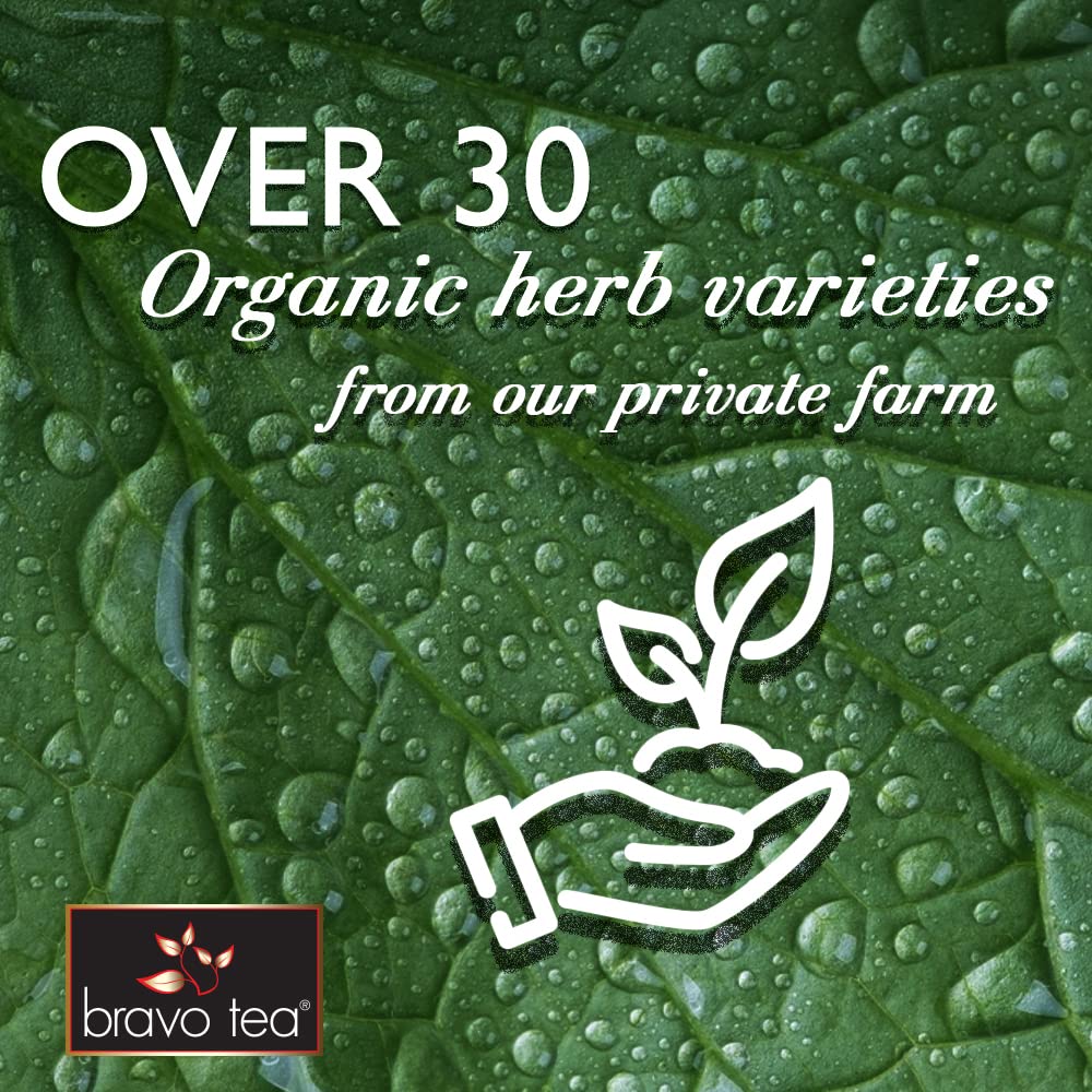 Bravo Teas Reishi Liver Health, 1 Ounce