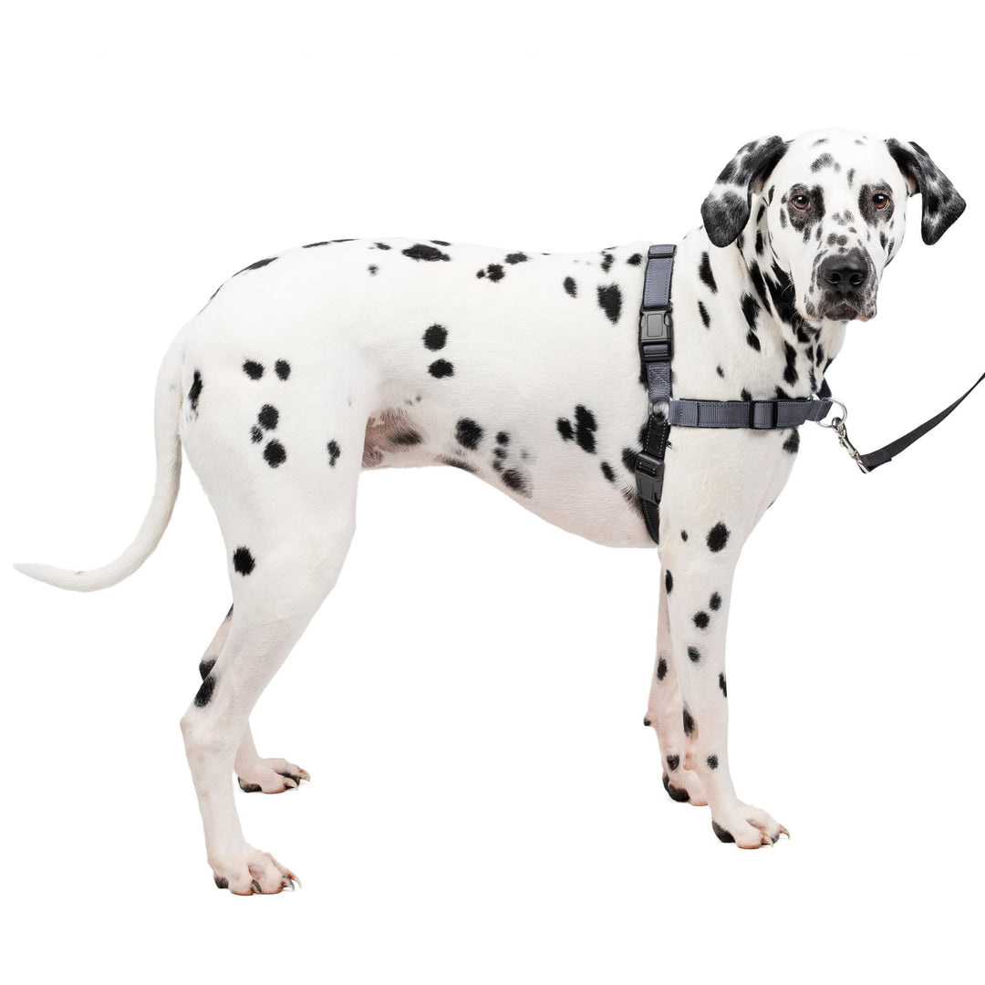 Easy Walk Deluxe Dog Harness, No Pull Dog Harness – Perfect for Leash &amp; Harness Training – Stops Pets from Pulling and Choking on Walks – Large, Steel