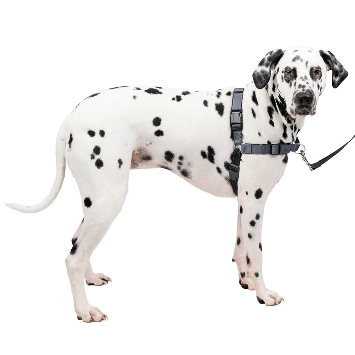 Easy Walk Deluxe Dog Harness, No Pull Dog Harness – Perfect for Leash &amp; Harness Training – Stops Pets from Pulling and Choking on Walks – Large, Steel
