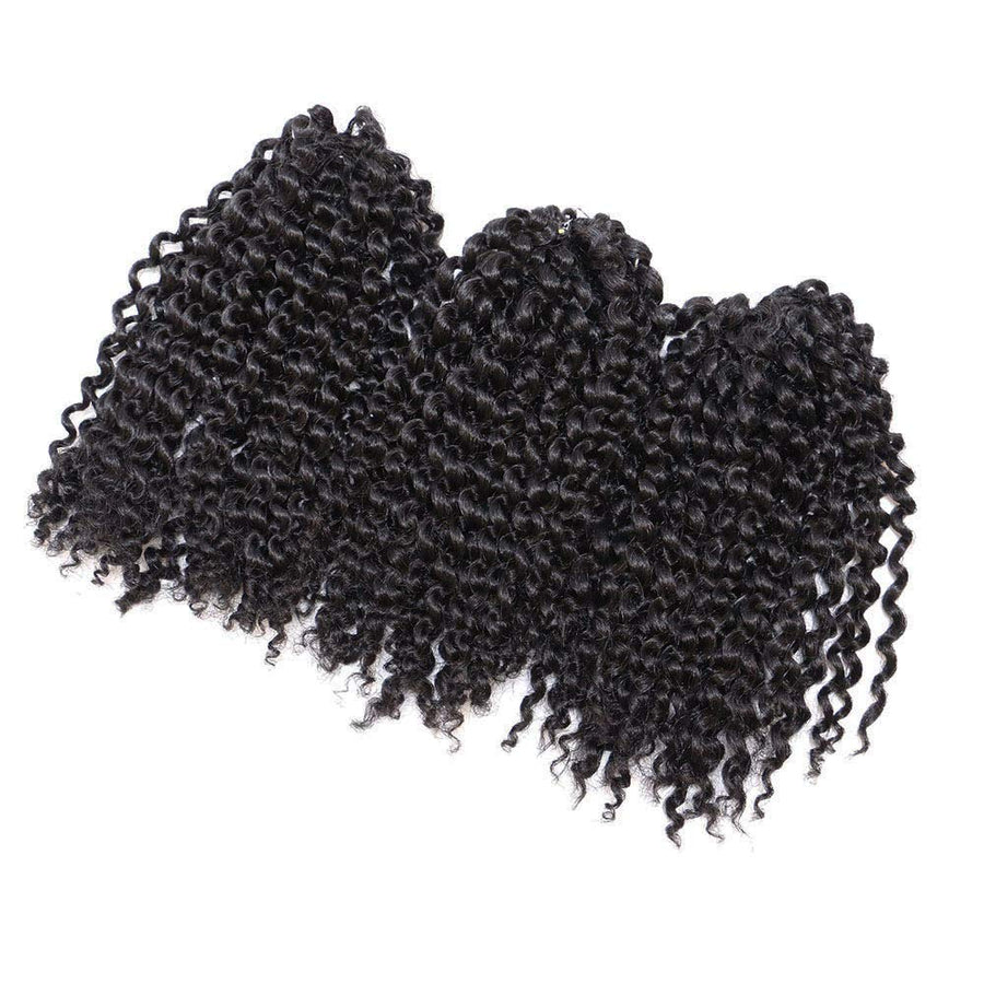 8 inch Crochet Curly Braids Hair 3pcs/pack Black Synthetic Box Braids Hair (#1B)