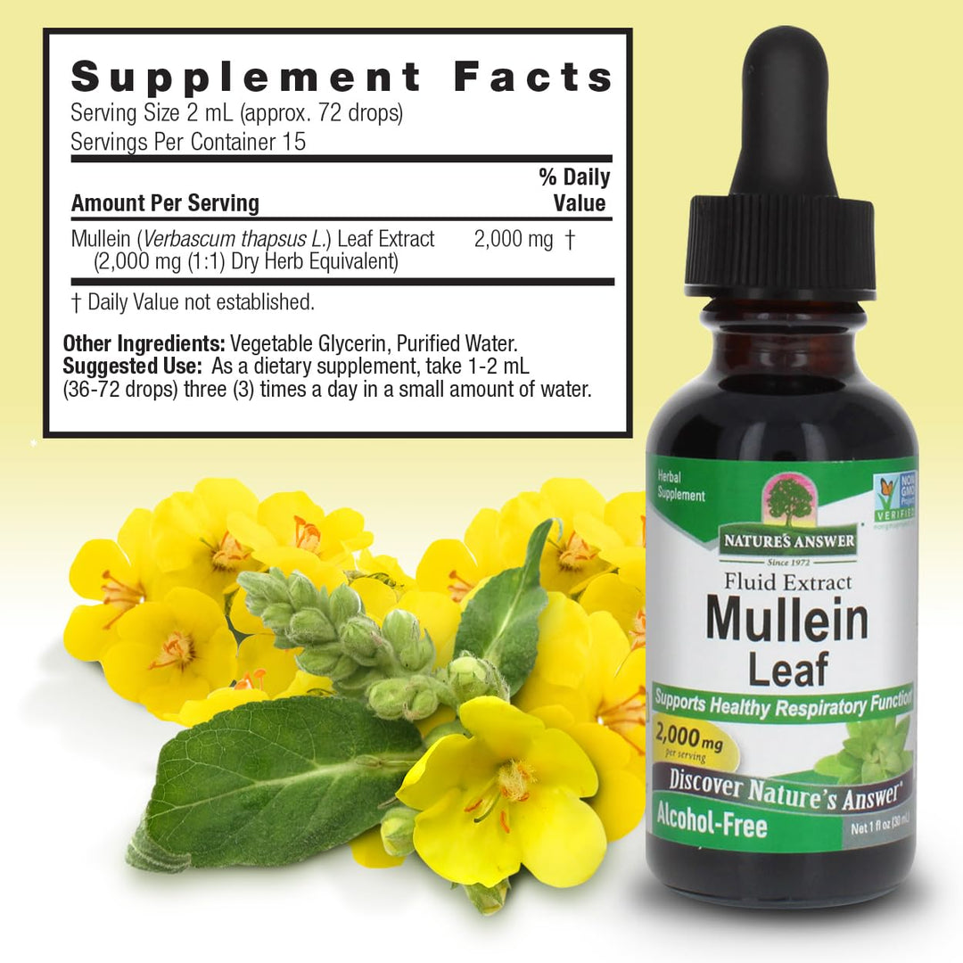 Nature&#39;s Answer Mullein Drops for Lungs, Alcohol-Free Mullein Tea, 1 Ounce Mullein Leaf Extract for Lungs, Supports Respiratory Function, Promotes Healthy Lungs, Non-GMO, Made in USA