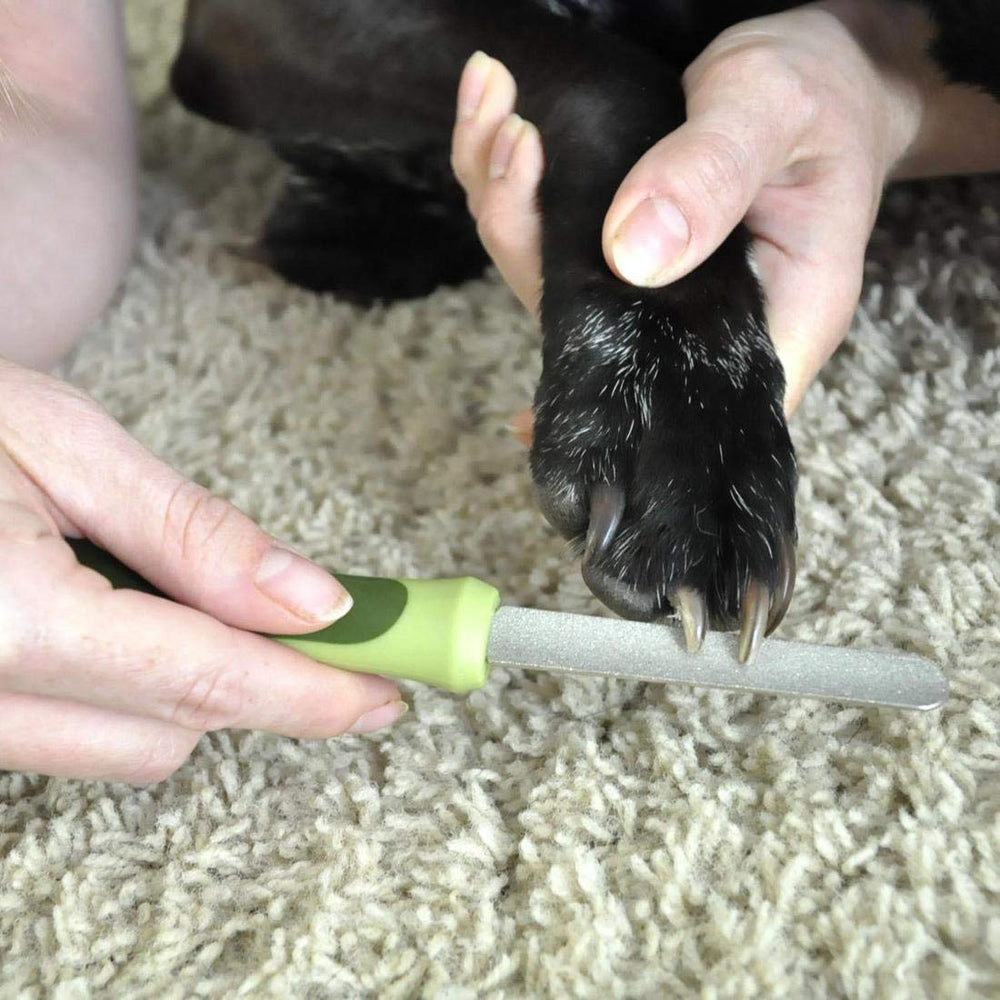 Pet Safari Dog Diamond Nail File - Diamond Finish for Smooth Nails - Removes Burs from Outdoor & Indoor Dogs - One Size