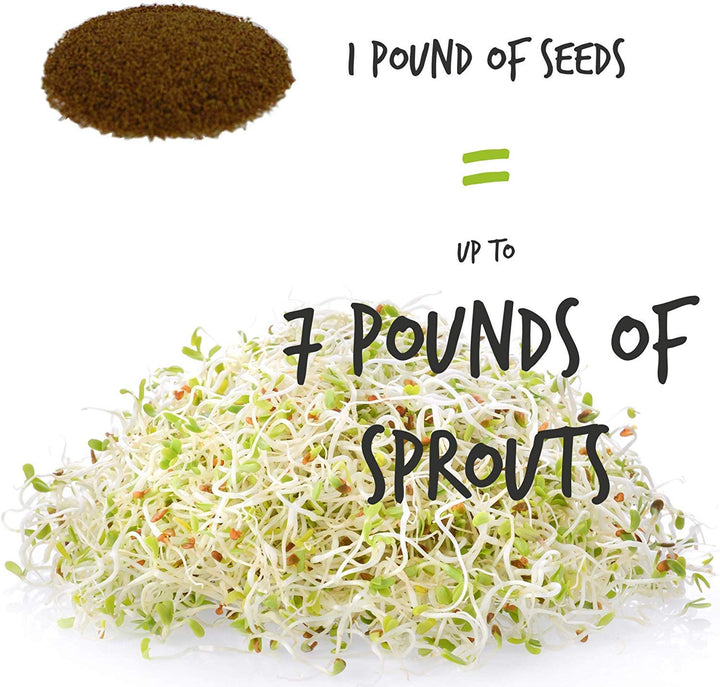 Certified Organic Alfalfa Sprouting Seed - 4 Oz - Brand - High Sprout Germination- Edible Seeds, Gardening, Hydroponics, Growing Salad Sprouts, Planting, Food Storage &amp; More