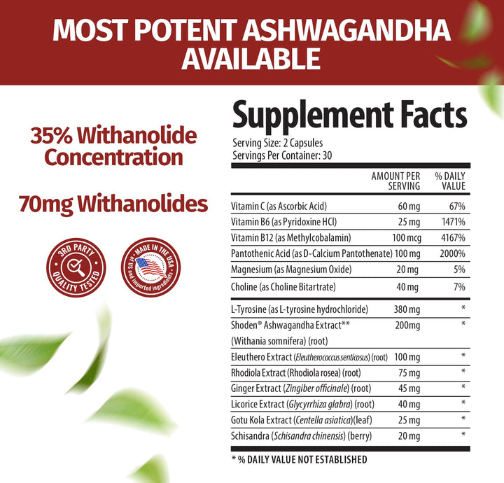 Ashwagandha Complex with Shoden® – Clinically Supported Stress Relief, Sleep, and Energy Support – Vegan, Non-GMO Supplements – 60 Capsules
