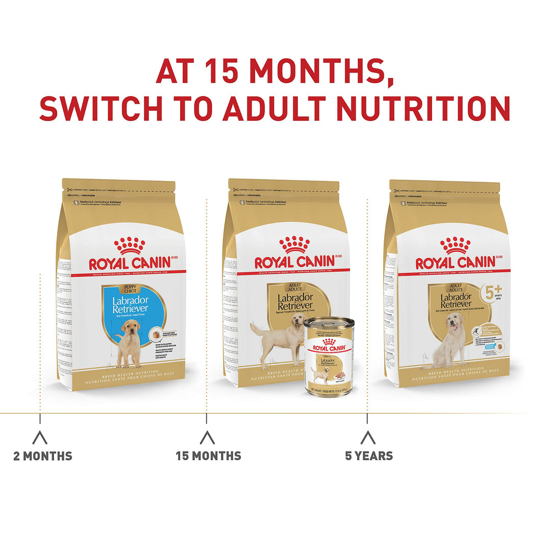 Labrador Retriever Adult Dry Dog Food, 30 lb bag