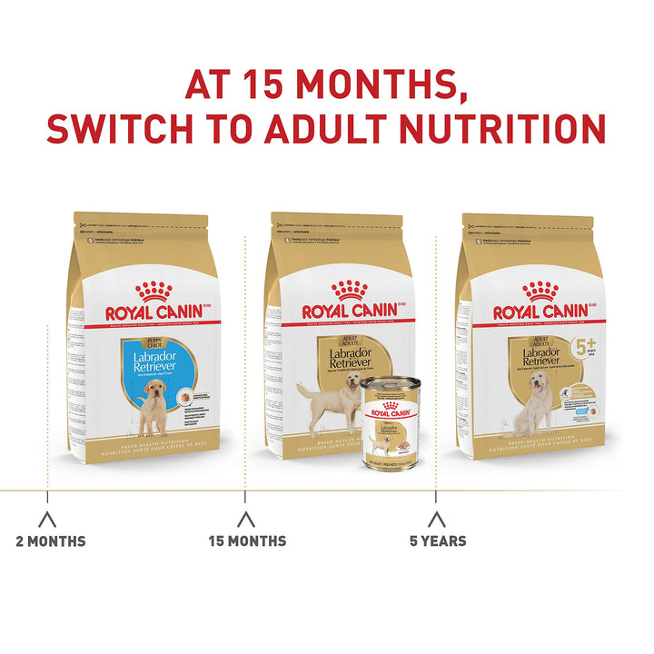 Labrador Retriever Adult Dry Dog Food, 30 lb bag