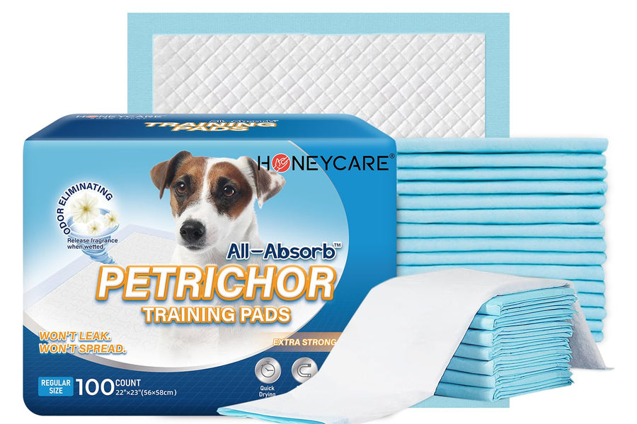 All-Absorb, Large 22 x 23, 100 Count, Dog and Puppy Training Pads, Ultra Absorbent and Odor Eliminating, Leak-Proof 5-Layer Potty Training Pads with Quick-Dry Surface, Blue, A01
