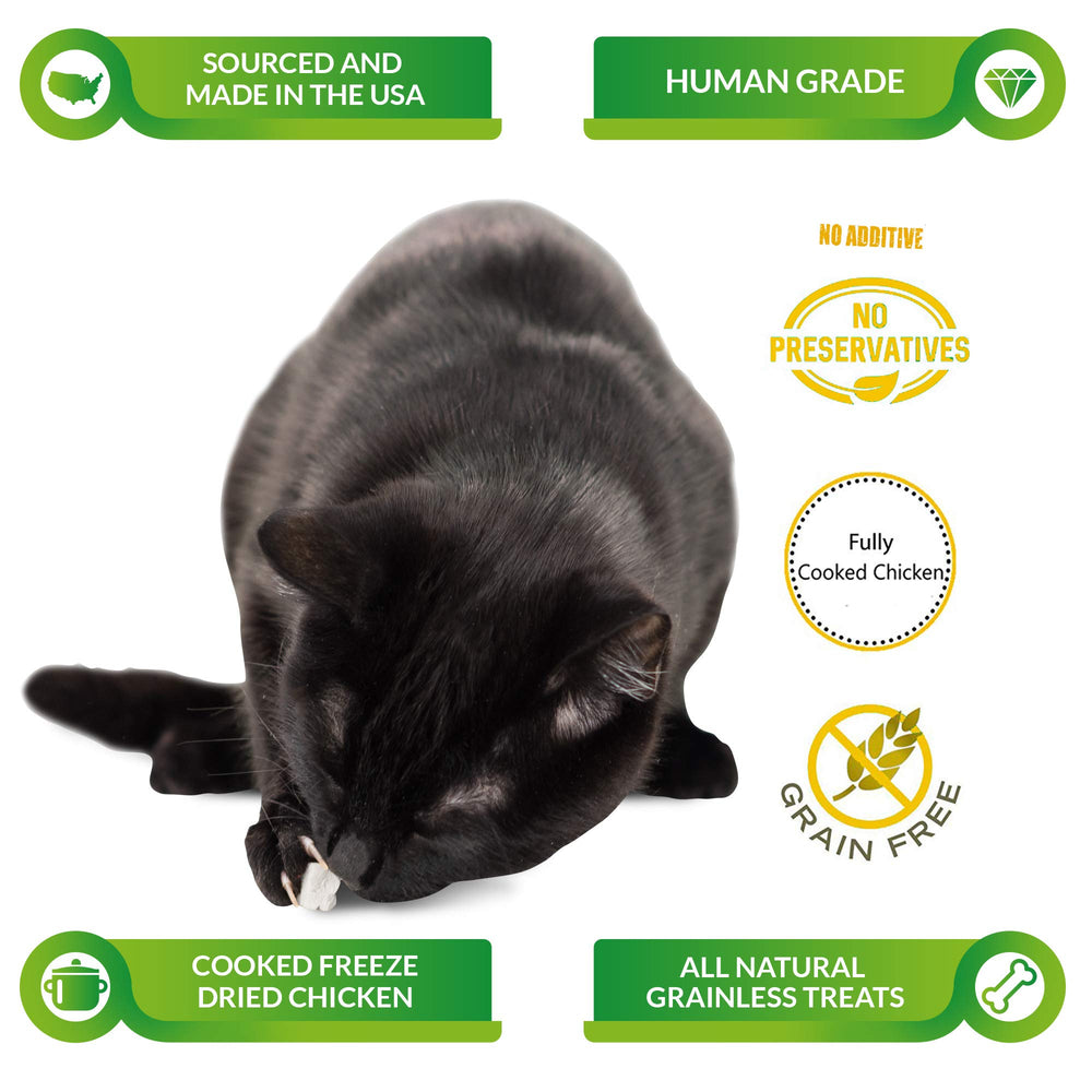 All Natural Freeze Dried Chicken for Dogs & Cats - No Fillers, Preservatives, or Additives - Grain Free Tasty Treat - 5 Oz Bag - Made in USA