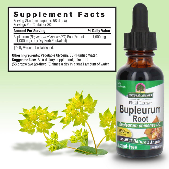 Nature’s Answer Bupleurum Root Bupleurum Chinense - Nat