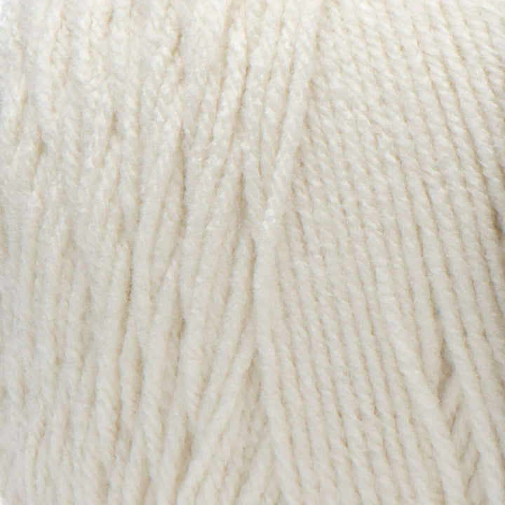 Aran Super Saver Jumbo Yarn, 1 Pack