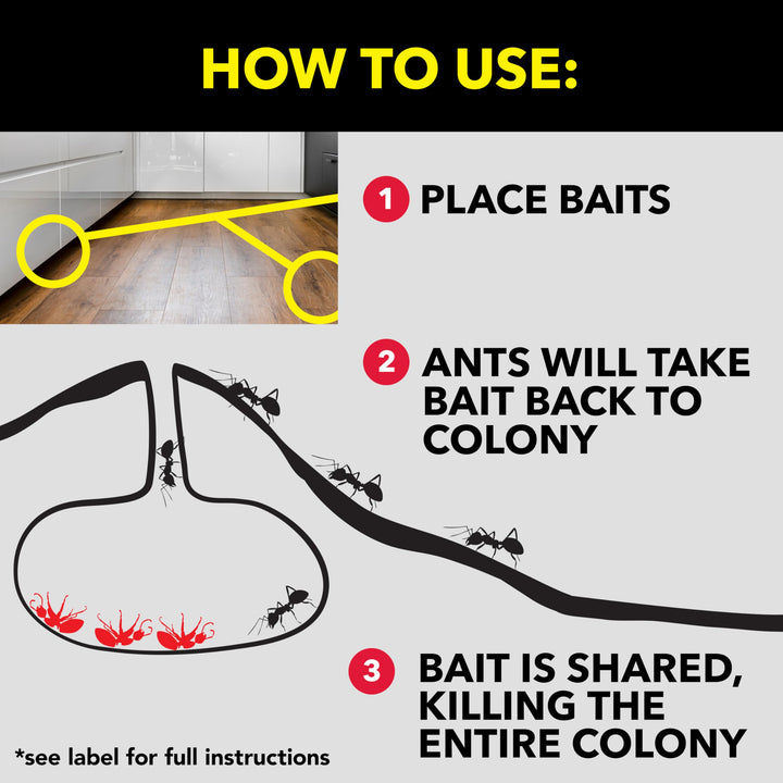 Raid Ant Killer Baits, Child Resistant Bug Killer for I