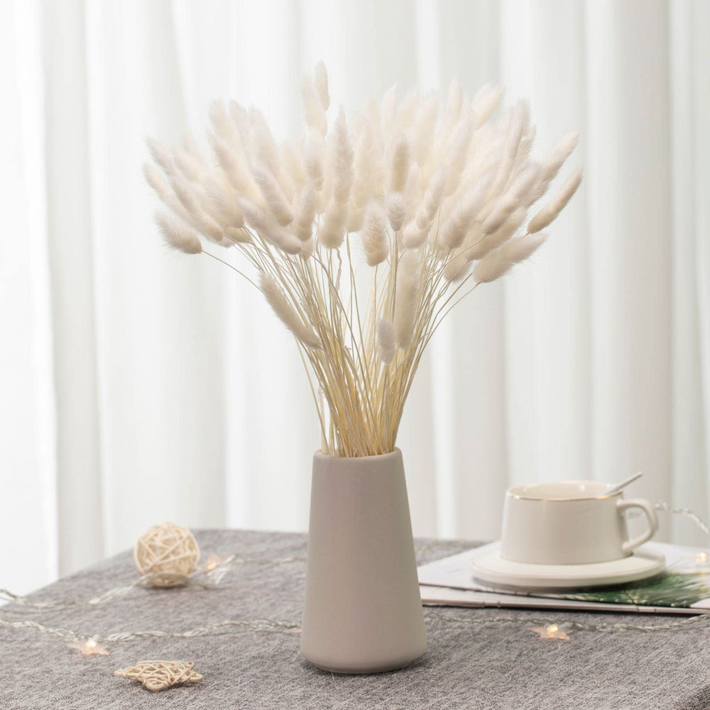 Natural Dried Bunny Tail Grass - 110~120 Stems Rabbit Tail Grass, Lagurus Ovatus for Boho Decor, Dried Pampas Grass Flower Arrangements Wedding Home Kitchen Office Decor (White)