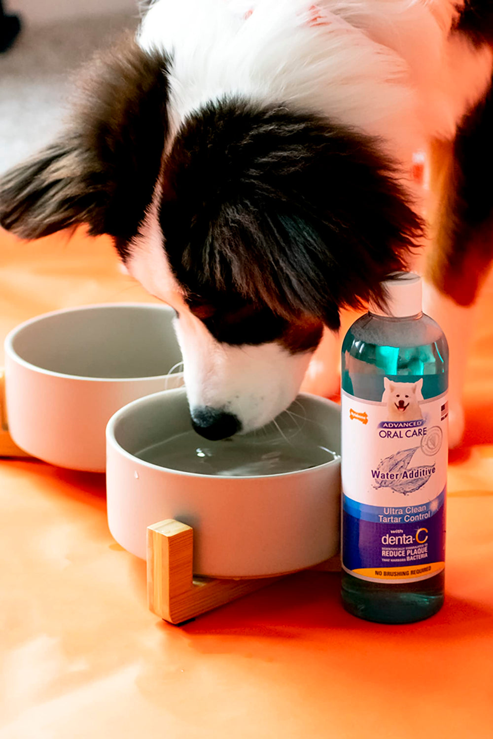 Advanced Oral Care Pet Dental Water Additive, Liquid Tartar Remover & Breath Freshener for Dogs, Dog Teeth-Cleaning, Original Flavor, 16 oz.