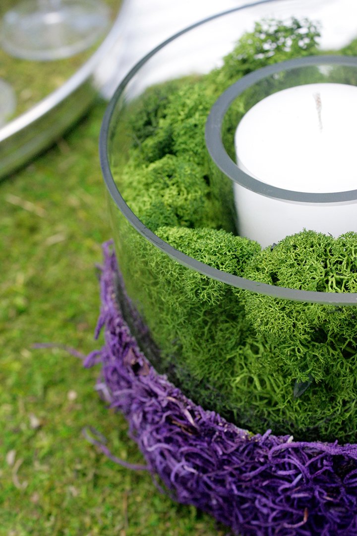 (21757) Reindeer Moss Preserved, Forest, 8oz (200 cubic inch)