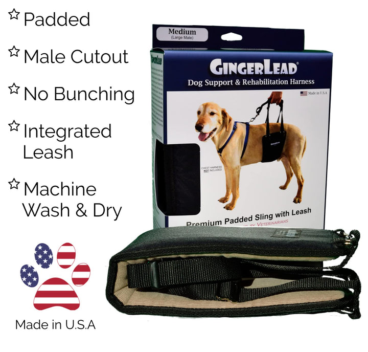 GINGERLEAD Dog Rear Support Sling Harness, M/LG Unisex with Cutout Fits Male &amp; Female Dogs. Padded Hip Lifting Aid Helps Old Pets Walk, K9s Recover from TPLO Surgery. Integrated Leash. Made in U.S.A.