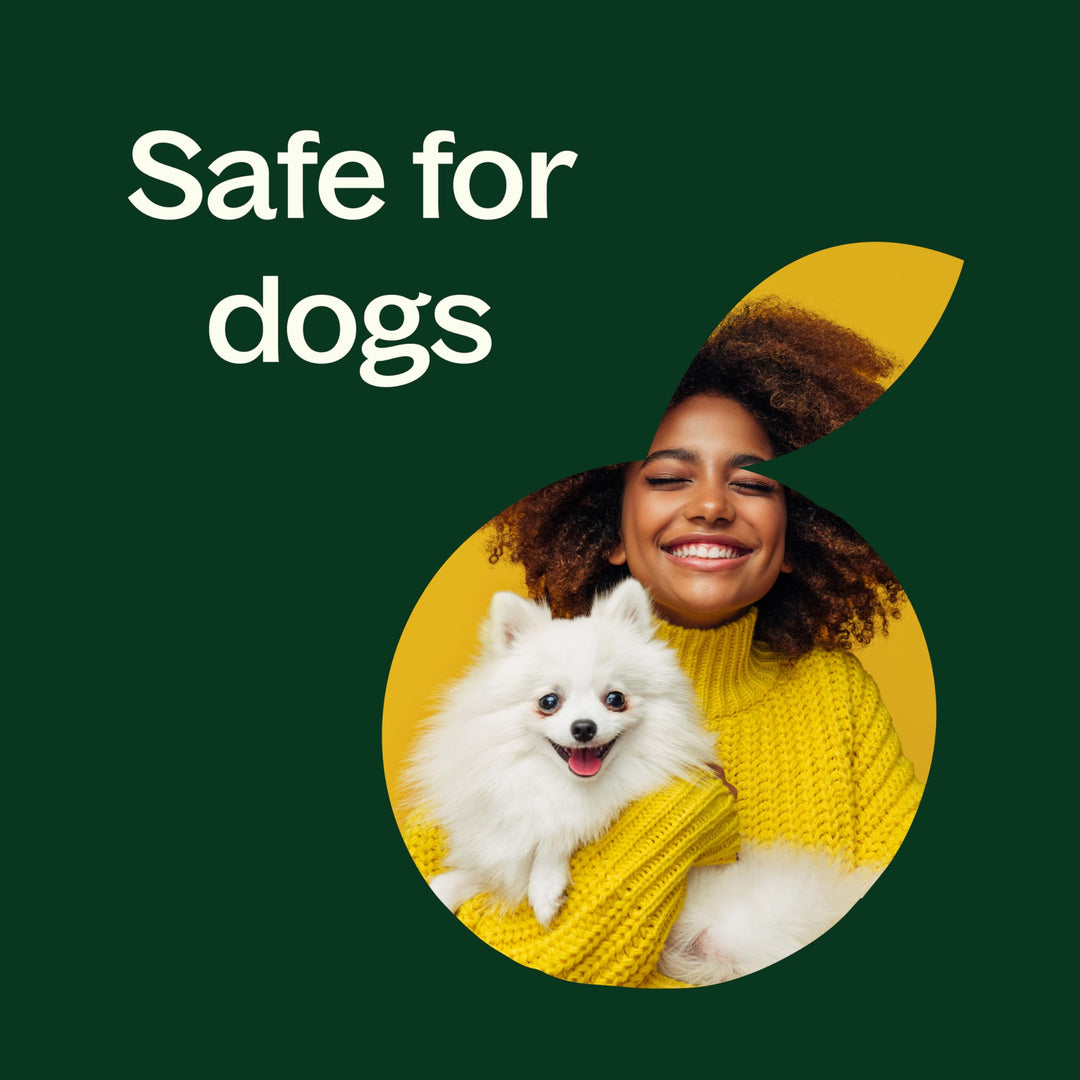 Organic Lemongrass Essential Oil 30 ml (1 oz)