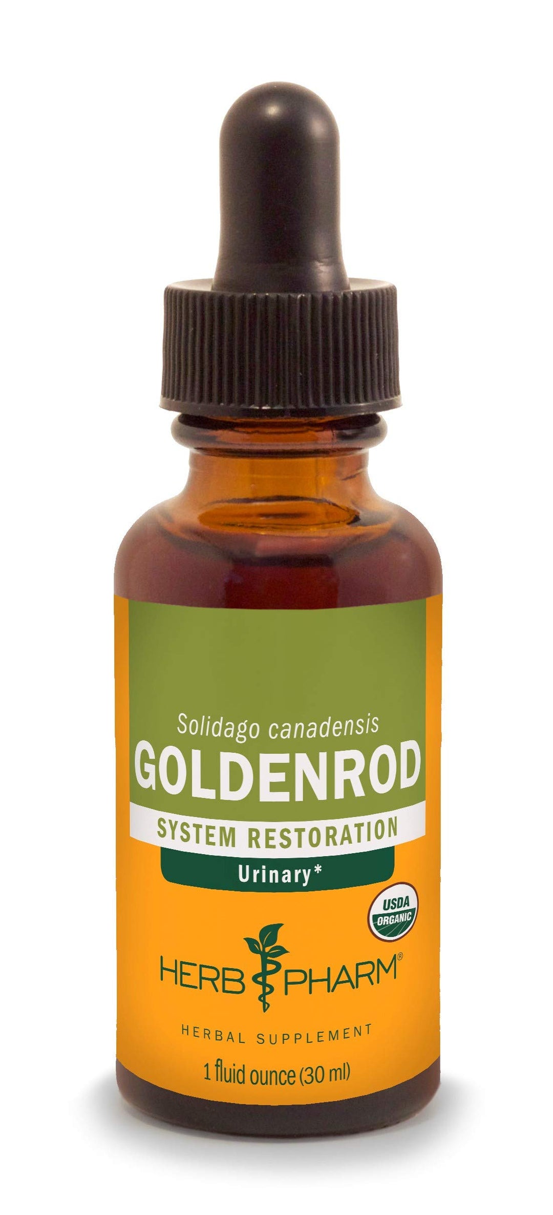 Certified Organic Goldenrod Liquid Extract for Urinary System Support, 1 Fl Oz (Pack of 1)
