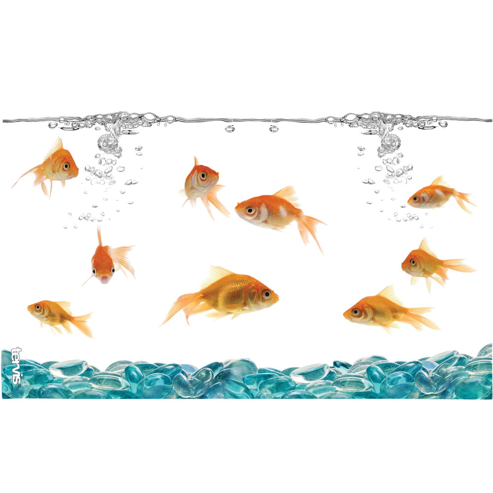 Goldfish Made in USA Double Walled Insulated Tumbler Travel Cup Keeps Drinks Cold & Hot, 16oz, Classic