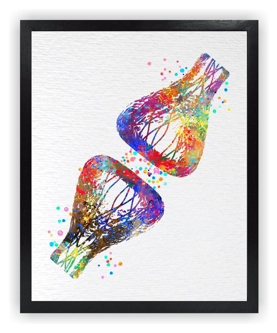 8X10 Unframed Synapse Receptor Medical Science Neurology Neural Network Watercolor Art Print Poster Housewarming Wall Giclee Office Home Decor DN531