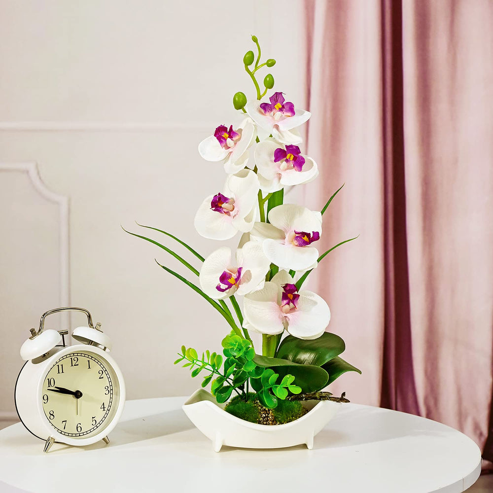 LIVILAN Phalaenopsis Orchid Purple Potted Orchids Decor
