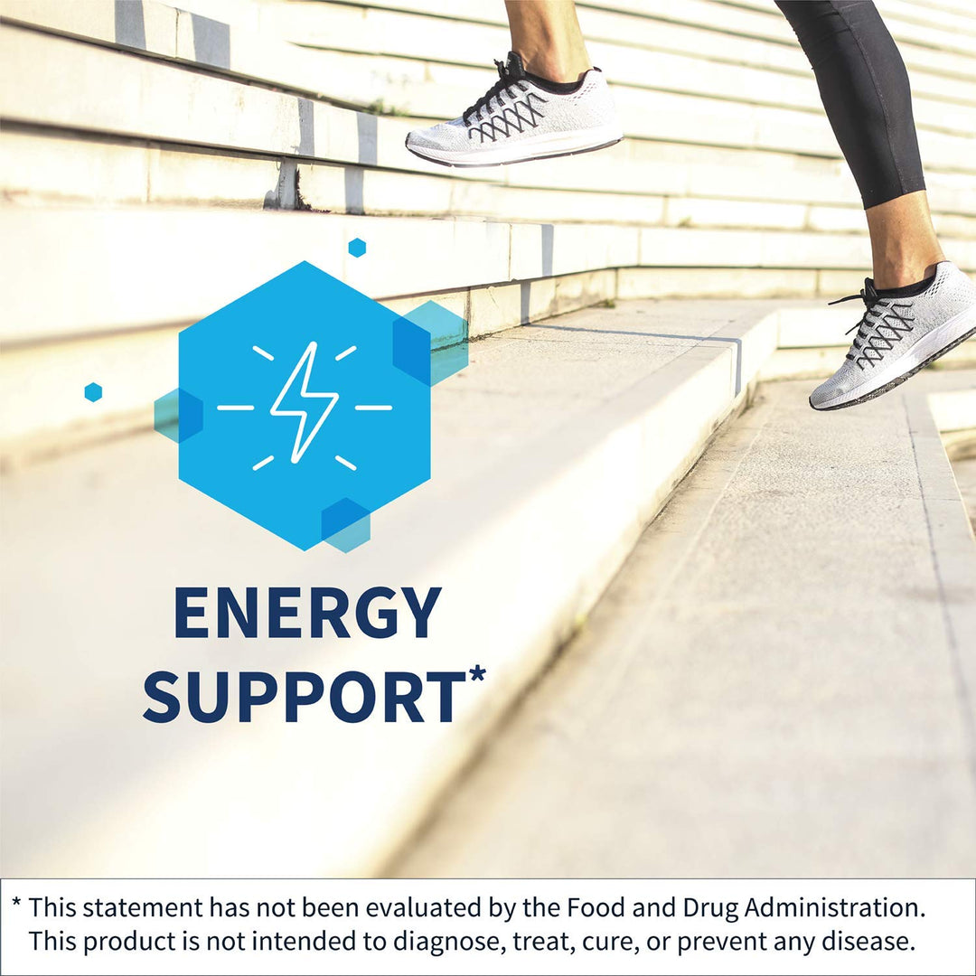 Acetyl-L-Carnitine 500 mg - Hypoallergenic Acetyl L-Carnitine Supplement - Promotes Cognitive Health, Energy Production &amp; Brain Support (90 Capsules)