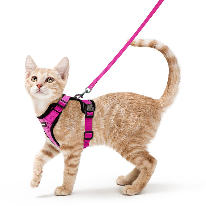 Cat Harness and Leash for Walking, Escape Proof Soft Adjustable Vest Harnesses for Cats, Easy Control Breathable Reflective Strips Jacket, Rose Red, XS