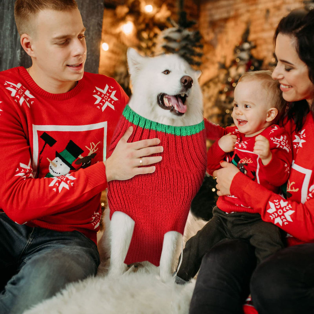 4 Pieces Christmas Santa Dog Sweaters Puppy Knitted Sweaters Holiday Pet Clothes with Reindeer Snowman Elf Elk Patterns for Dog Puppy Cat (Small)