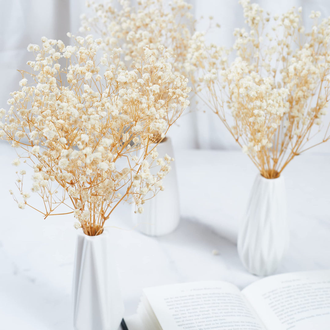 Preserved Baby&#39;s Breath 3 Bunches, 100% Natrual Fresh Gypsophila Long Lasting Flowers for Vase Arrangements Home Decoration Photo Props Parties and Weddings, DIY Décor-White