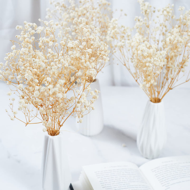 Preserved Baby&#39;s Breath 3 Bunches, 100% Natrual Fresh Gypsophila Long Lasting Flowers for Vase Arrangements Home Decoration Photo Props Parties and Weddings, DIY Décor-White
