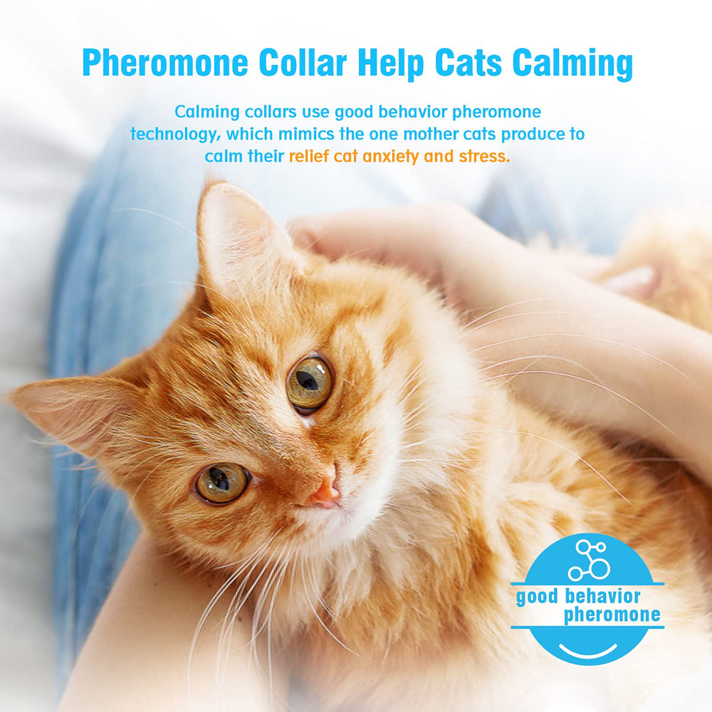 3 Pack Calming Collar for Cats Pheromone Calm Anxiety Collar for Cats and Kittens Stress Reliever Relaxing Comfortable Collar Breakaway Design Gray