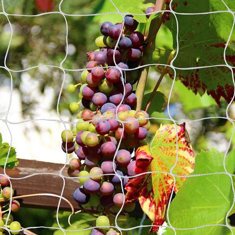 Heavy-Duty Polyester Garden Trellis Net Plant Support Netting for Climbing Plants Outdoor, Flexible String Net for Bean Pea, White Grow Tent (4.9Ft x 30Ft, 3.5 Opening Mesh, 1 Pack Plant Net)