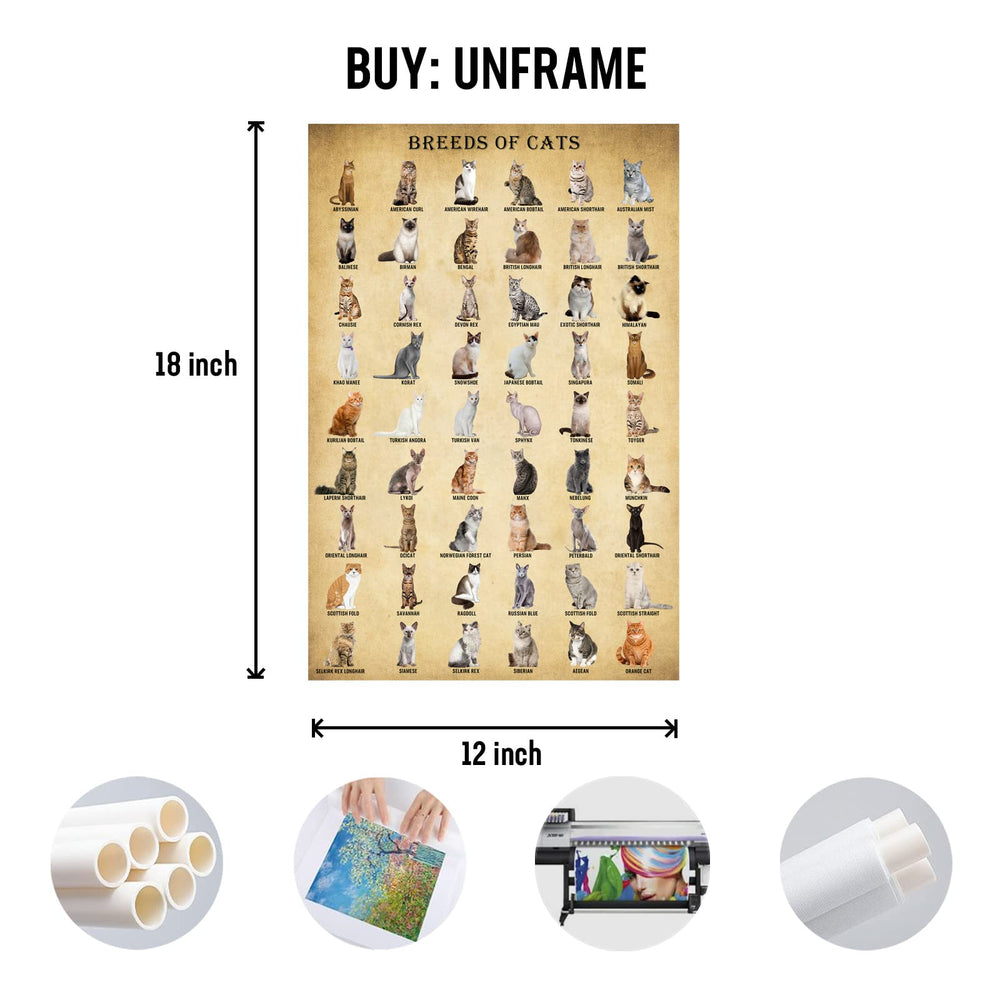 Cat Breeds Posters, Vintage Cats Knowledge Poster, Breeds of Cats, Type of Cats, Cat Decor for Cat Lovers, Cat Wall Art Unframed 12x18inch