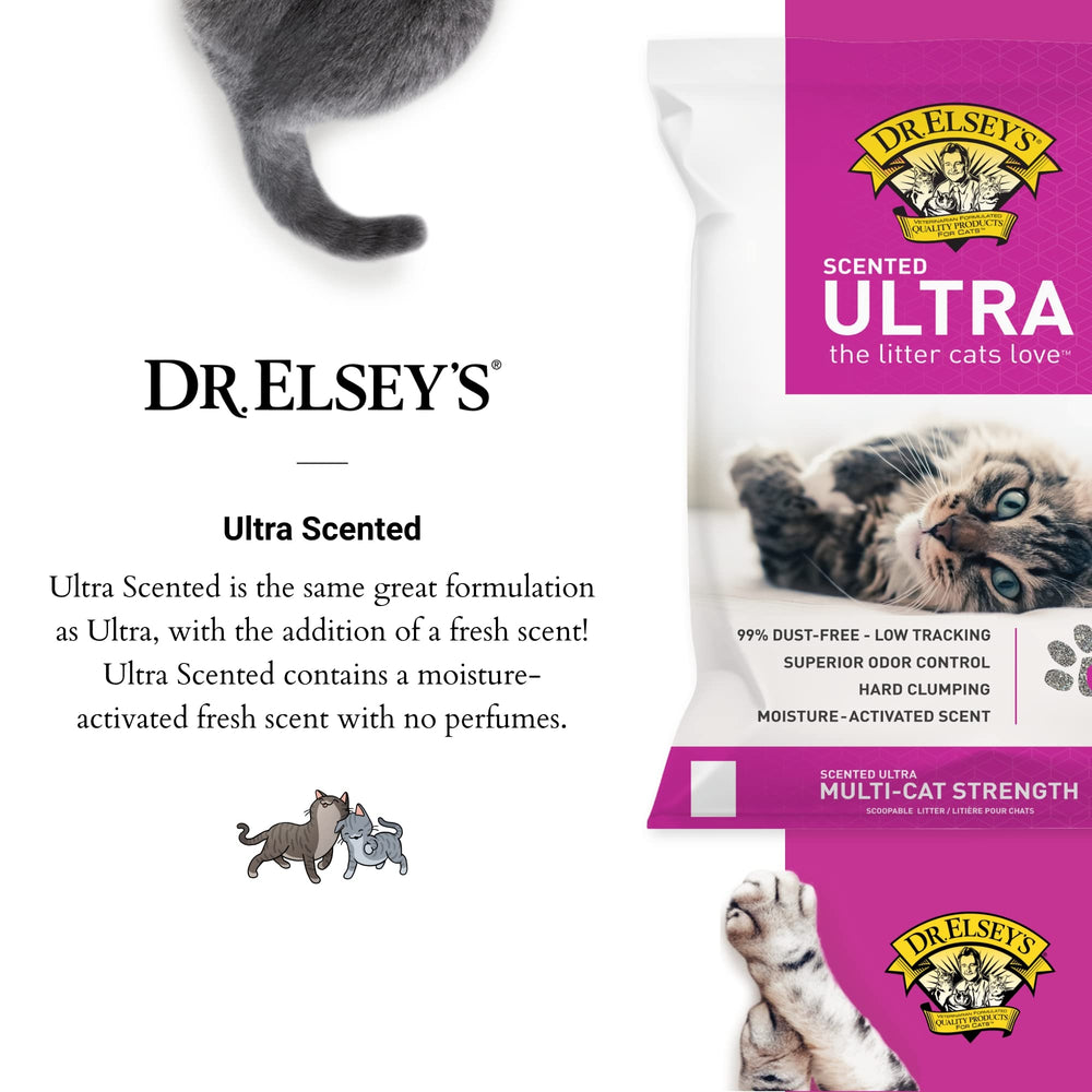 Precious Cat Ultra Scented Scoopable Multi-Cat Cat Litter, 40 lbs.