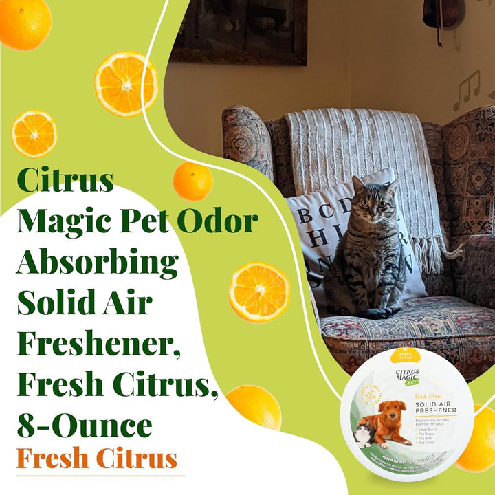 Pet Odor Absorbing Solid Air Freshener for Home, Air Purifier, Fresh Citrus, Must have Pet Supplies, 8 Oz (Pack of 3)