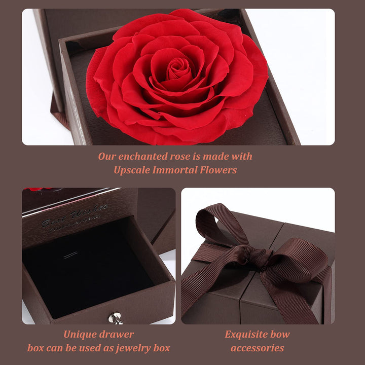 Roses Gift Preserved Real Rose with Jewelery Box, Artificial Flowers Decor for Decoration Romantic Gifts for Women in Her Wife Girlfriend Birthday Anniversary Valentines Day Mothers Day Christmas(Red)