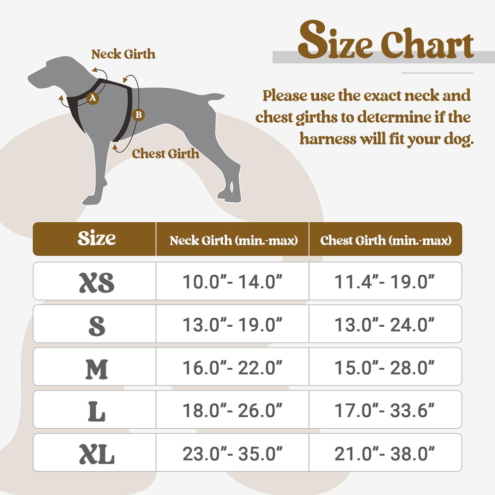 Dog Harness No Pull with 2 Leash Clips, Adjustable Soft Padded, Reflective Oxford No Choke Pet Vest with Easy Control Handle for Large Dogs, Black, XL