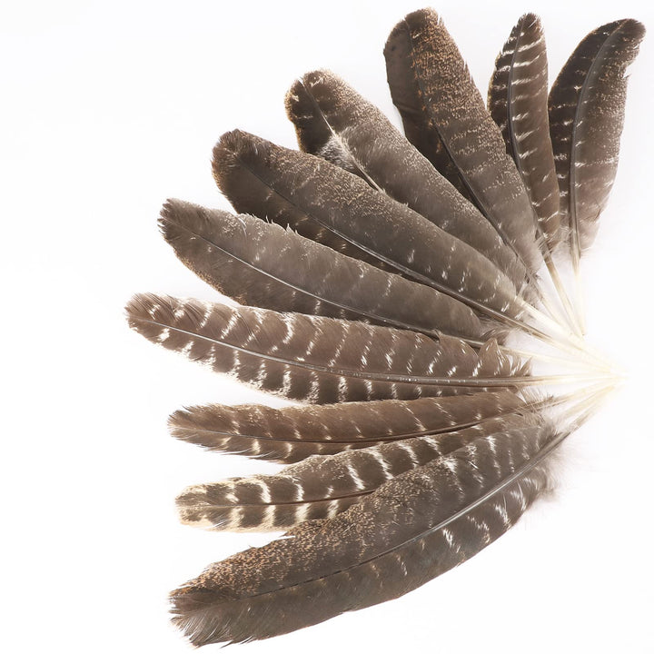Outuxed 15pcs Natural Turkey Feathers for Crafts, 10-12 Inches Large Feathers for Hat Floral DIY Home Wedding Party Decoration Collection