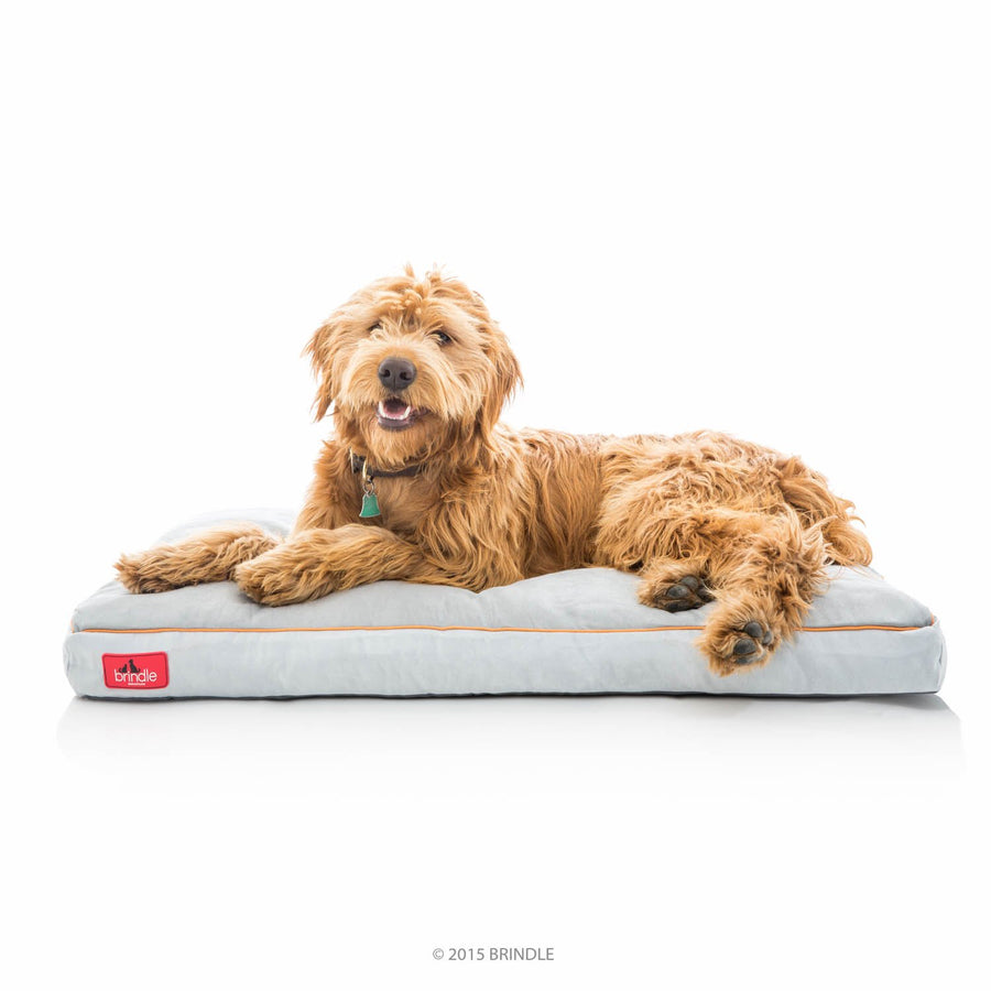 BRINDLE Stone Shredded Memory Foam Pet Bed - Pet Essentials - Orthopedic Design - Pet Crate Compatible - Machine Washable Cover - Indoor Pet Bed for Dogs, Puppies, Cats, and Rabbits - Size Large