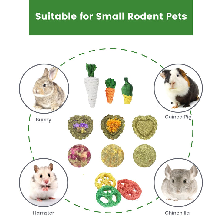 Rabbit Chew Toys 12PCS, Guinea Pig Toys, Bunny Toys for Teeth, Chew Toys and Treats for Rabbit Guinea Pig Hamster Chinchilla, Small Animal Teeth Care