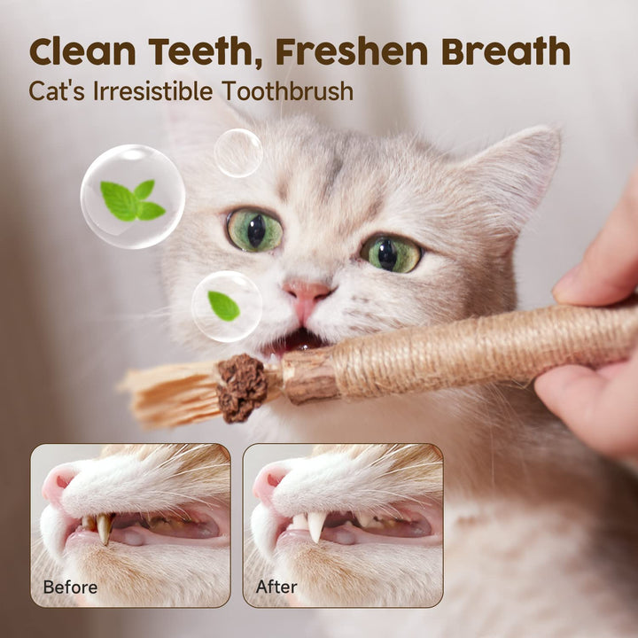3 Pack Natural Silvervine Sticks Cat Toys, Catmint Silvervine Blend Sticks, Catnip Kittens Chew Toys Teeth Cleaning, Matatabi Dental Care Cat Treat Edible Kitty Lick Toys, Package May Vary