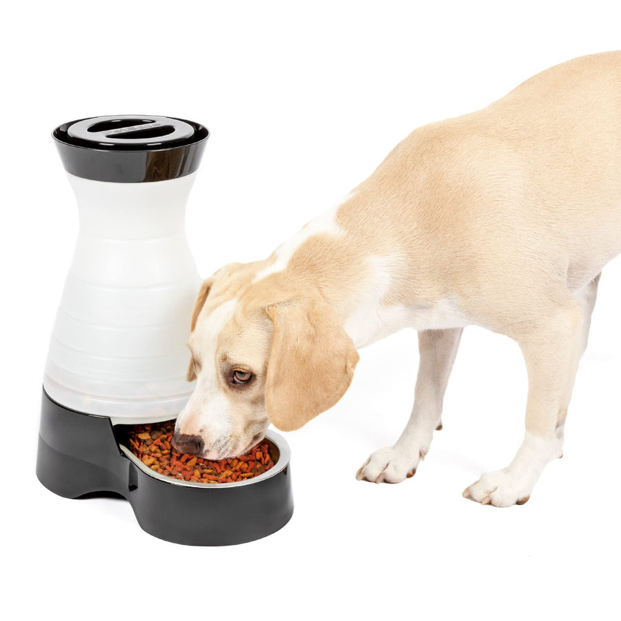 Healthy Pet Food Station - Medium, 4 lb Kibble Capacity - Gravity Pet Feeder Dry Food Dispenser, Automatic Cat Feeder, Small to Medium Dog Feeder - Removable Stainless Steel Bowl Included