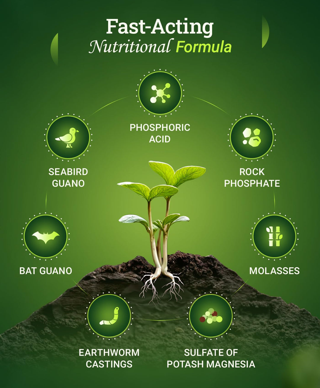 Foxfarm Bushdoctor Bembé Concentrate, Fast-Acting Liquid Plant Fertilizer, Enhances Natural Sugars for Sweetness and Flavor - Easy Absorption for Soil, Containers, and Hydroponics- NPK 0-1-3 (Quart)