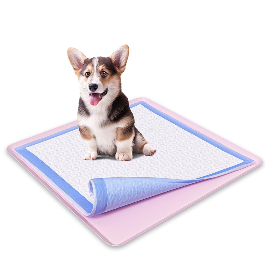 TidyFriend Pee Pad Holder Tray 24 x 24 Inches, Silicone Dog Potty Tray, Easy to Clean No Spill Dog Potty Training Pad Holder (Rose)