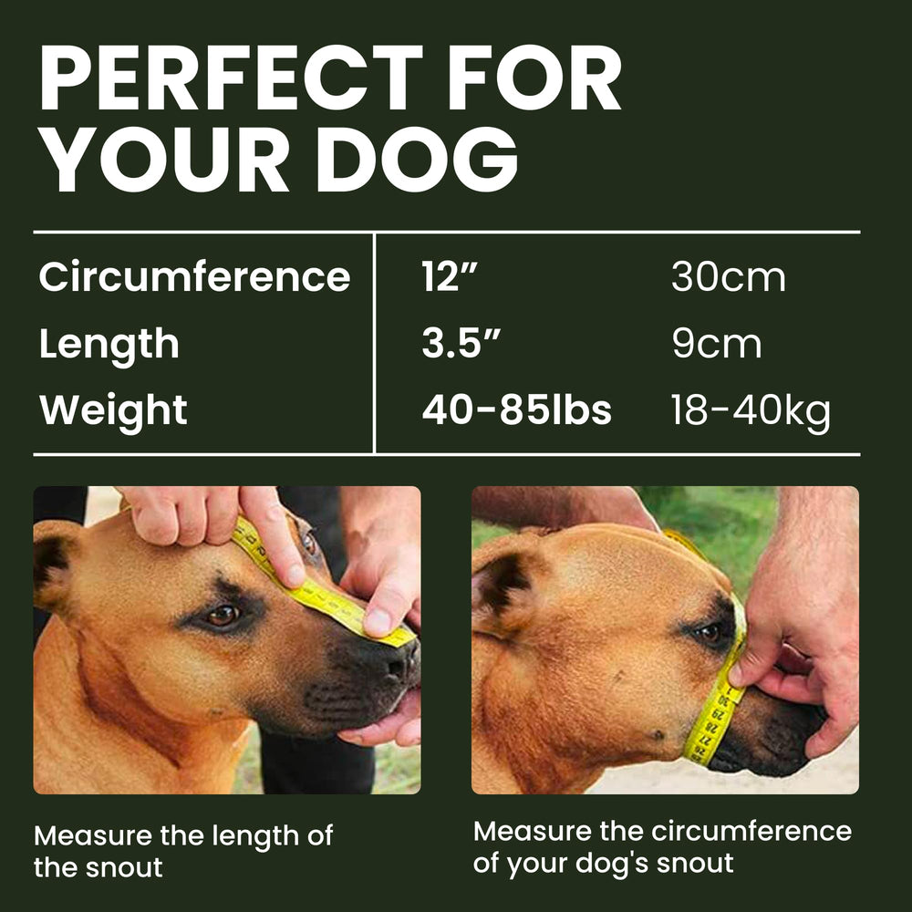 Pitbull Dog Muzzle Metal Mask Amstaff Wire Basket Pit Bull Adjustable Leather Straps for Large Dogs (Steel)