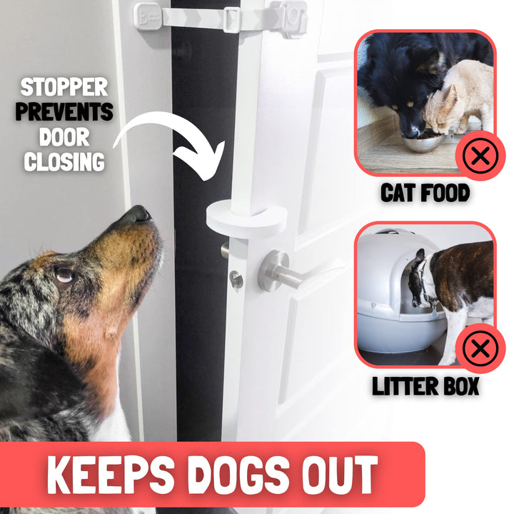 Cat Door Latch &amp; Cat Door Stopper. Adjustable Door Strap for Cats to Dog Proof &amp; Keep Dog Out of Litter Box &amp; Cat Feeder. Simpler Pet &amp; Cat Gate Alternative. No Cut Cat Door Interior Door