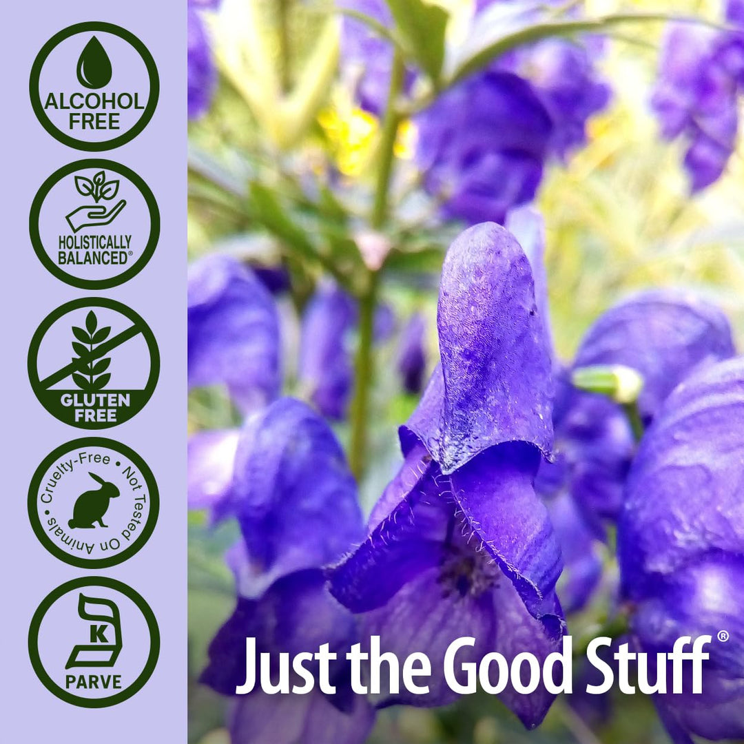 Nature&#39;s Answer Alcohol-Free Skullcap Herb Extract Supplement 1-Fluid Ounce Liquid | Natural Calming Supplement | Nervous System Support