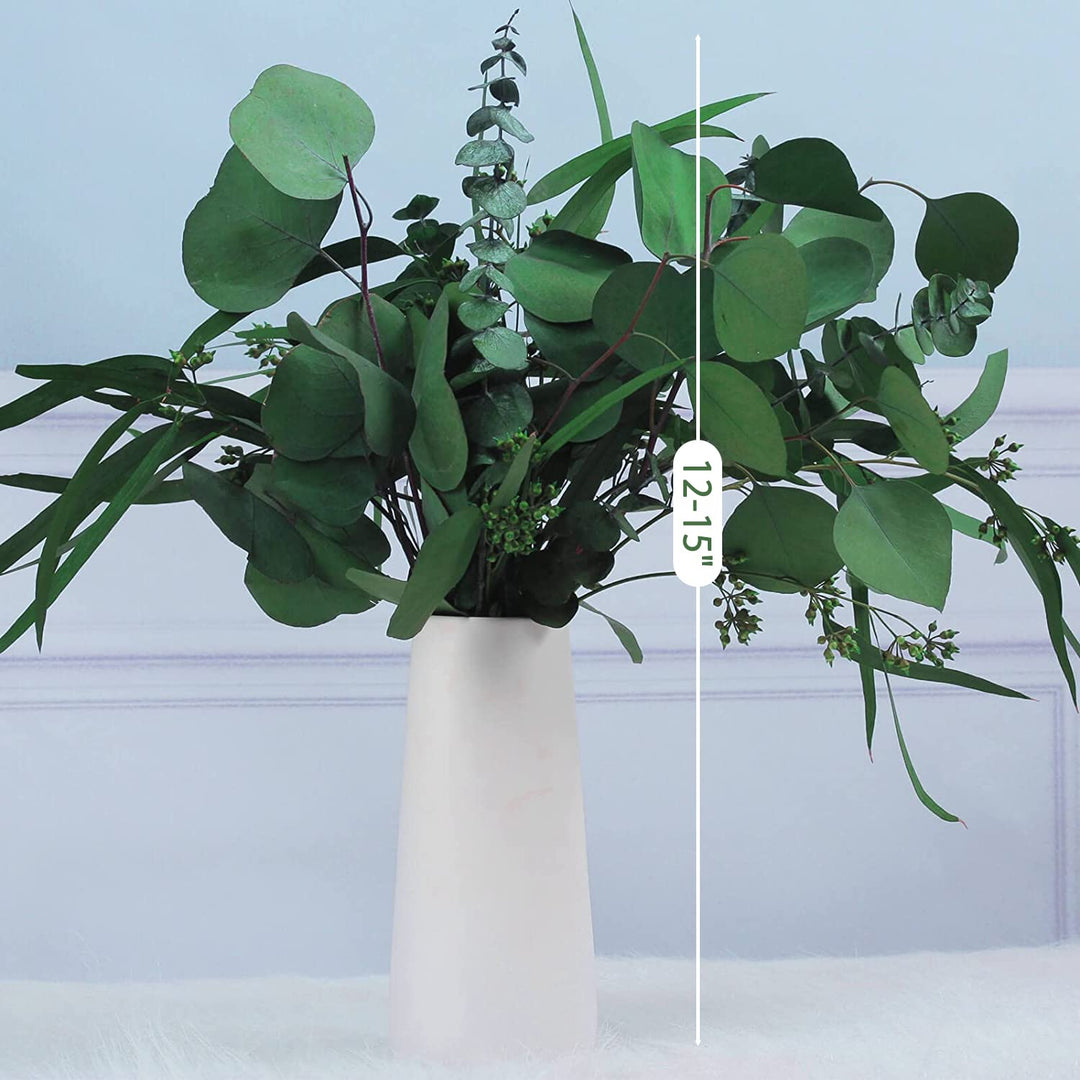 12Pcs Mixed Real Dried Eucalyptus Leaves Stems - Preserved Eucalyptus Branches, Silver Dollar Eucalyptus, Seeded Eucalyptus Bouquets for Vase Floral Arrangements Wedding Greenery Decor
