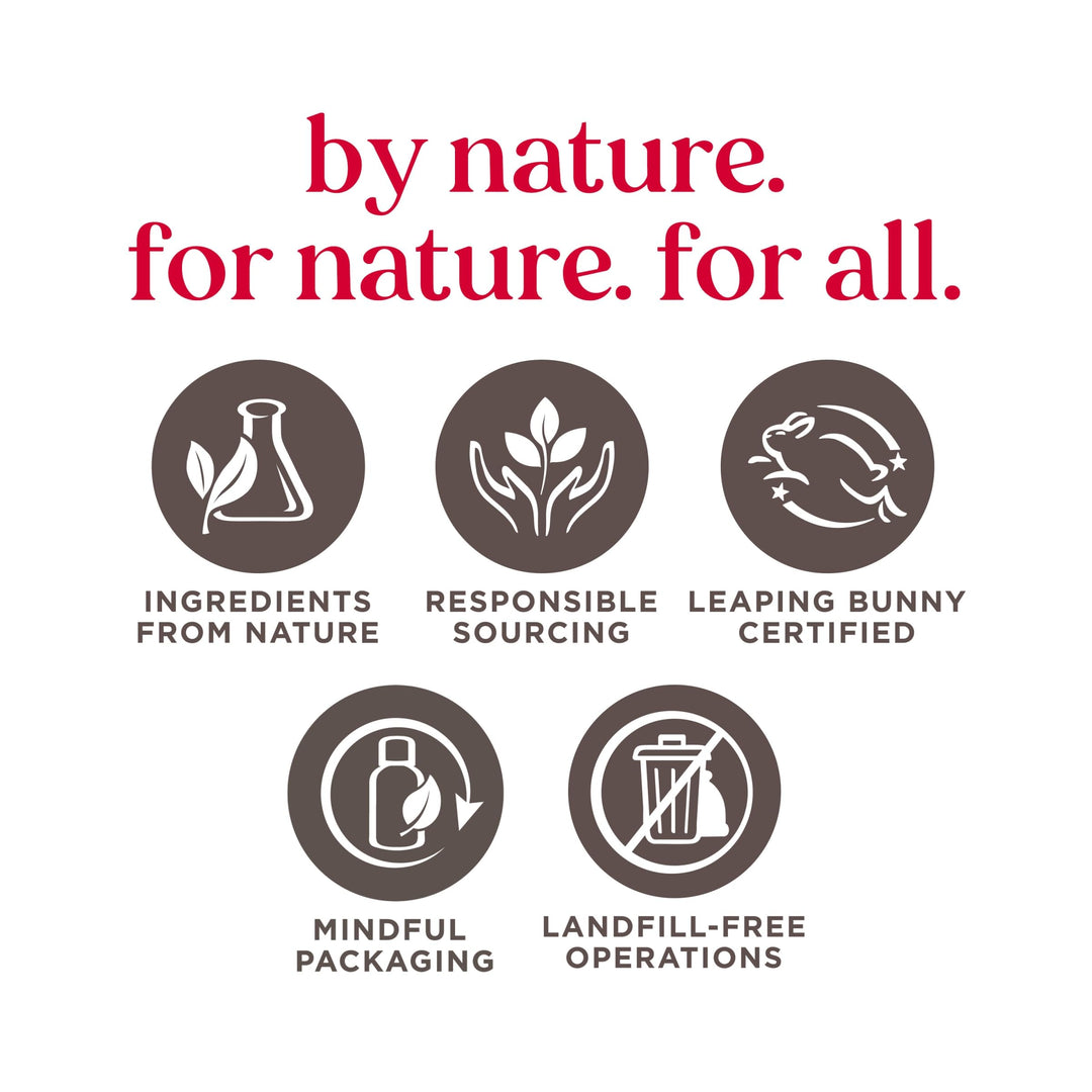 Burt&#39;s Bees Detoxifying Charcoal Sheet Mask, 6 Count